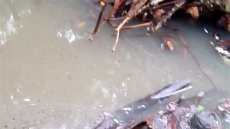 Flood At Kabankalan Citynegros Occidental Flood1072013 Youtube