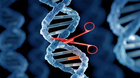Crispr Gene Editing Explained What Is It And How Does It Work How
