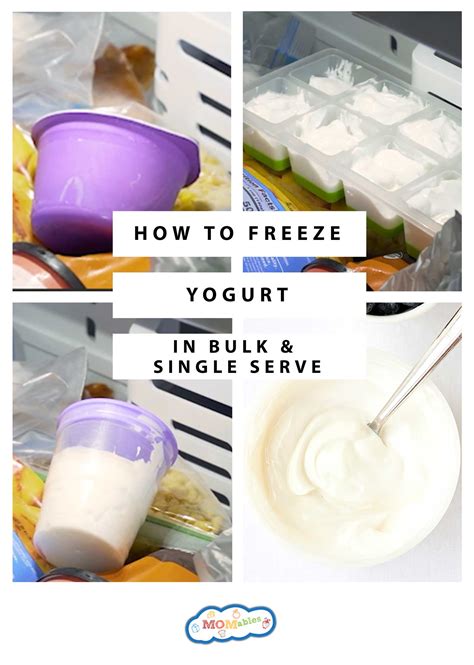 Can You Freeze Yogurt Yes Here S How MOMables