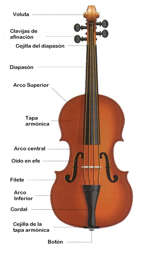 The Master Of The Violin Partes Del Violin