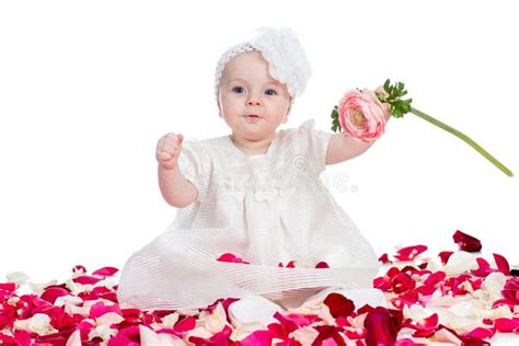 Cute Baby Girl With Flower Stock Image Image Of Beautiful 31742651
