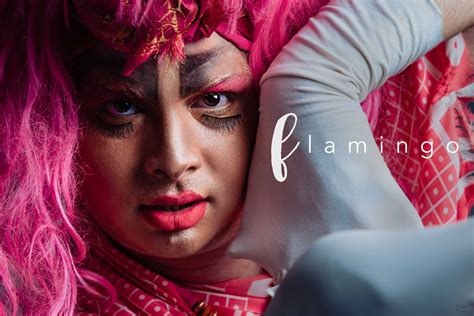 Pink Flamingo A Photo Series To Create Awareness On Pomosexuality Gaysi