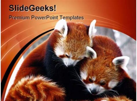Red Pandas Cuddling Animals PowerPoint Templates And ...