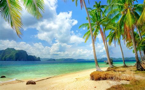 Hd Wallpaper Blue Sea And Sky Beach Coast Palm Trees