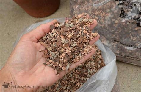 See more ideas about cactus jack, air jordans, jordans. Gritty Succulent Soil Mix Makes Growing Succulents A Snap ...
