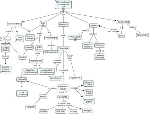 Create and explain a concept map involving the terms potential energy kinetic energy mass gravity height and velocity. C5 Macromolecules - What chemicals are important to life ...