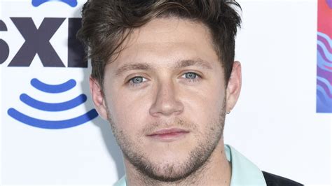 Why Niall Horan Felt Like A Prisoner While He Was In One Direction