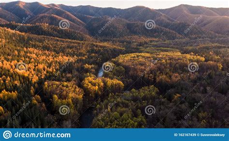 Top View Of The Taiga Forest River Road The Vast Expanses Of