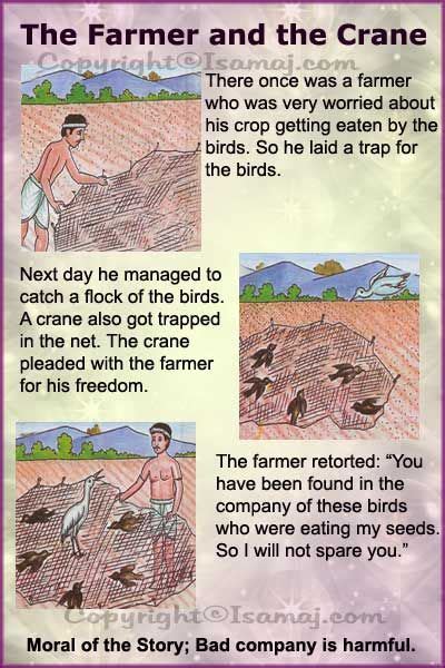 Moral Stories The Farmer And The Crane English Stories For Kids