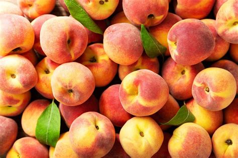 Natures Juicy Superfood Amazing Benefits Of Peaches