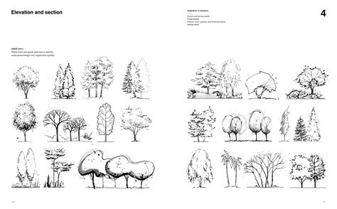 Tree Architecture Drawing At Explore Collection Of