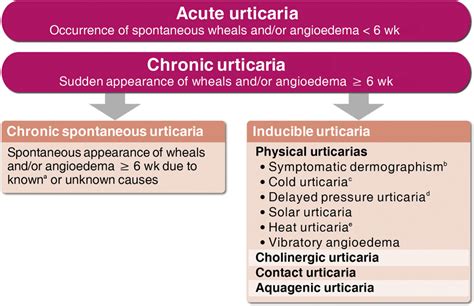Classification Of Subtypes Of Chronic Urticaria Presenting With