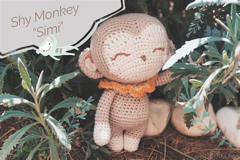 Shy Monkey 