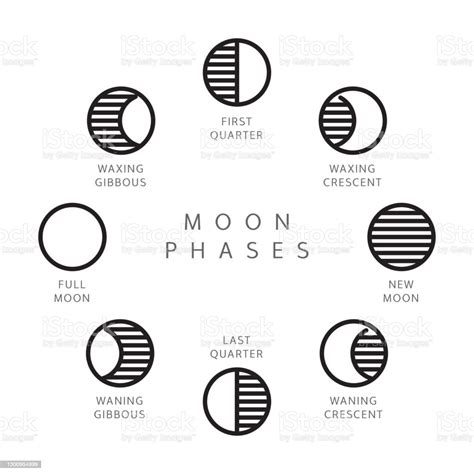 Moon Phases Line Icons Set Stock Illustration Download Image Now