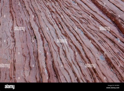 Layers Of Red Sandstone Rock Detail Showing Years Of Erosion In Zion
