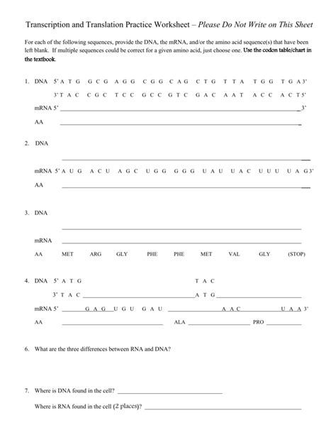 Nonsense mutation — change in dna sequence in which a codon for an amino acid is changed into a stop codon. Transcription Translation Practice Worksheet — excelguider.com