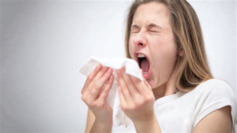 Ah Choo Healthy Sneezes Coughs Sound Just Like Sick Ones To Us