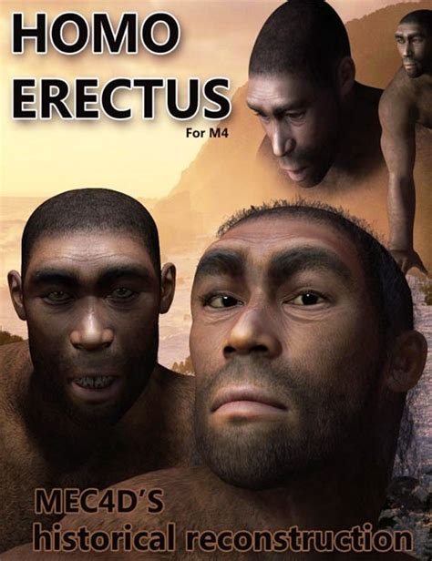 Homo Erectus M Update Daz D And Poses Stuffs Download Free Discussion About D Design