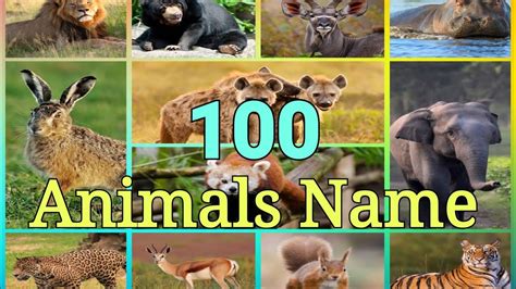 Learn Animal Names In English 877