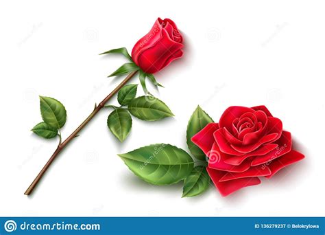 Rose With Stem Thorn And Leaves Scroll Saw Vector Illustration
