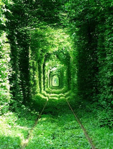 Top 10 Most Amazing World Tunnels