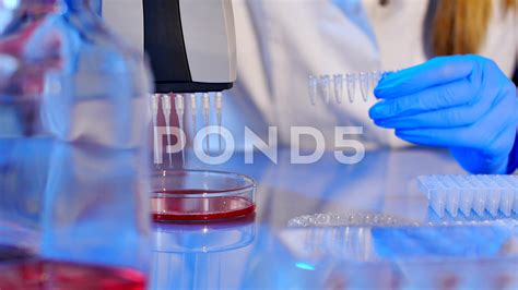 Lab technician performs medical tests Stock Footage,#performs# 