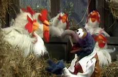 muppet chickens wikia