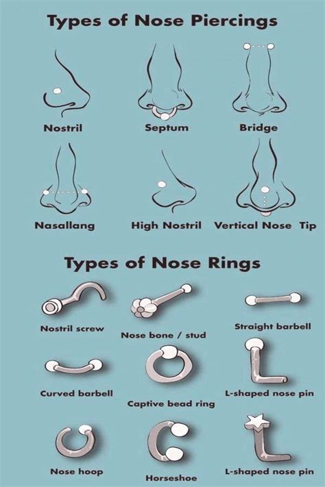 Types Of Nose Piercings Types Of Nose Rings Info Graphic Chart Diagram