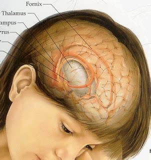 Changes in memory or thinking while it's true that tumors can cause big shifts in a person's behavior or personality, the types of radical transformations you sometimes hear about. Identify the characteristics of headaches caused by tumor ...