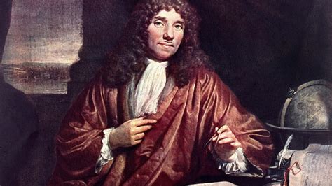 Que Aporto Anton Van Leeuwenhoek Al Conocimiento De Las Celulas Ántoni