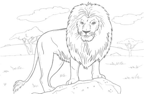 20+ Free Printable Lion Coloring Pages - EverFreeColoring.com
