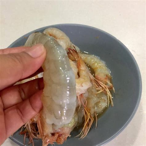 Cara merawat jaket kulit dengan body lotion. Kepala & Kulit Udang Jangan Dibuang. Boleh Buat Air ...