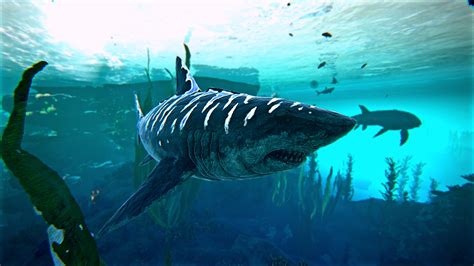 The megalodon, which went extinct millions of years ago, was the largest shark ever to prowl the oceans and one when the megalodon went extinct. Brute X-Megalodon - Brute Animals (Available during ...