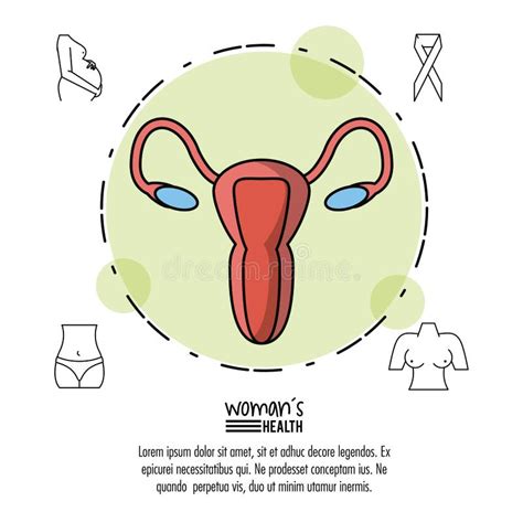 White Background Infographic Woman Health With Female Reproductive