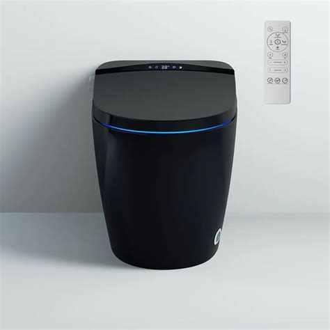 One Piece Elongated Black Smart Toilet Floor Mounted Automatic Toilet