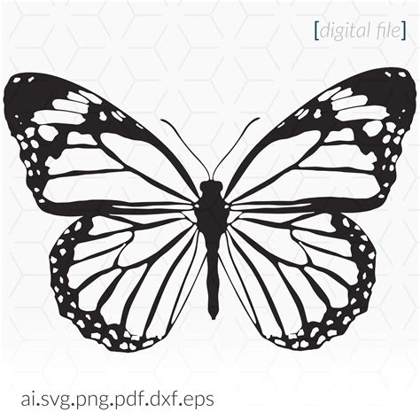 Monarch Butterfly Svg For Cutting And Printing Butterfly Svg Etsy