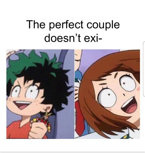 The Perfect Couple Doesn T Exi R Animemes