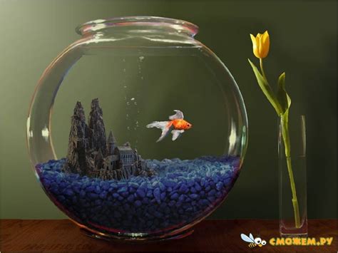 Goldfish Aquarium Screensaver V20 серийник Скачать бесплатно