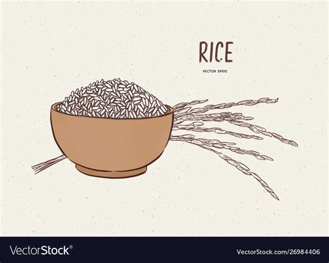Rice In Bowl With Branch Hand Draw Sketch Vector Image