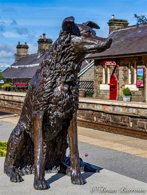 Ruswarp Statue At Garsdale Station S C Settle And Carlisle Flickr