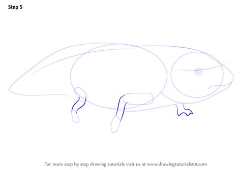 How to draw an axolotl for kids. Learn How to Draw a Axolotl (Amphibians) Step by Step ...
