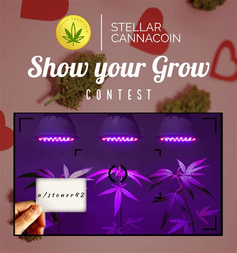 Even if you are not into crypto, still a fun contest 🌱 : r/StellarCannabis