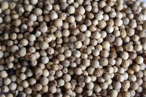 White Pepper At Best Price In Delhi By Madan Lal Shyam Sunder Id