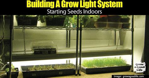 Here in this article, you will find out some of the the most up to date hydroponic technology is providing them the same thing. How To Build An Indoor Grow Lights System