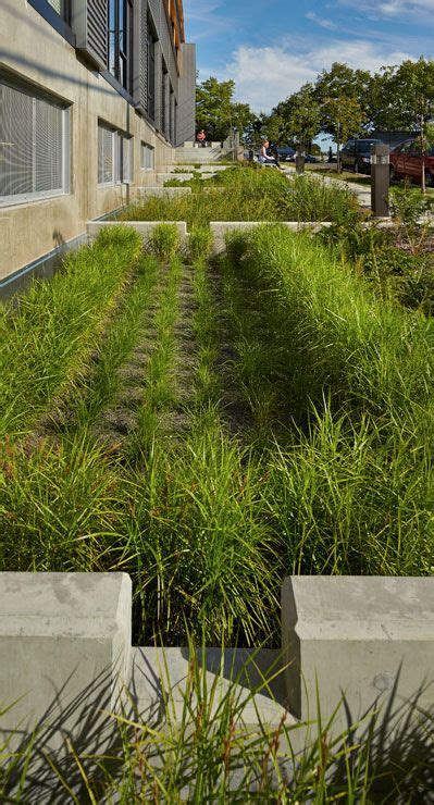 Completion of this course provides new gardeners the opportunity to build gardening knowledge and skills. Rain garden - Goodwill Job Training and Education Center ...