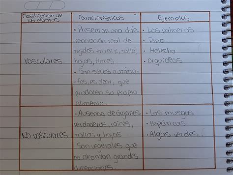 Elabora Un Cuadro Comparativo Con Las Principales Car Vrogue Co