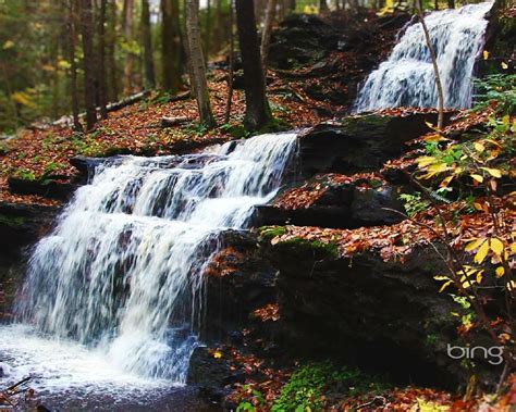 Cool desktop backgrounds for windows 7. 50+ Bing Wallpaper Windows 7 on WallpaperSafari