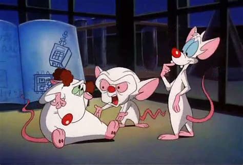 Pinky And The Brain S E Pinky The Brainand Larry Video Dailymotion