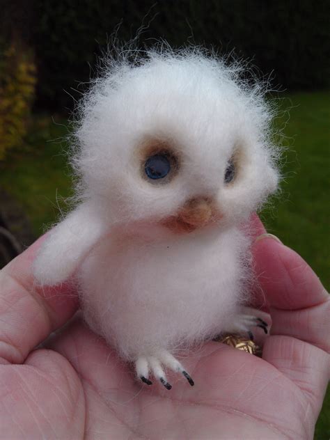 Den absolut richtigen oder falschen zeitpunkt für ein kind gibt es nicht. Hallo was ist das für ein Vogel Baby? (Vögel)