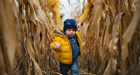 Maybe you would like to learn more about one of these? Best Corn Mazes in Springfield, MO